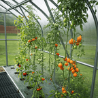 Kit de reliure végétale pour serre de jardin