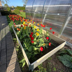 Bac de culture en bois pour serre