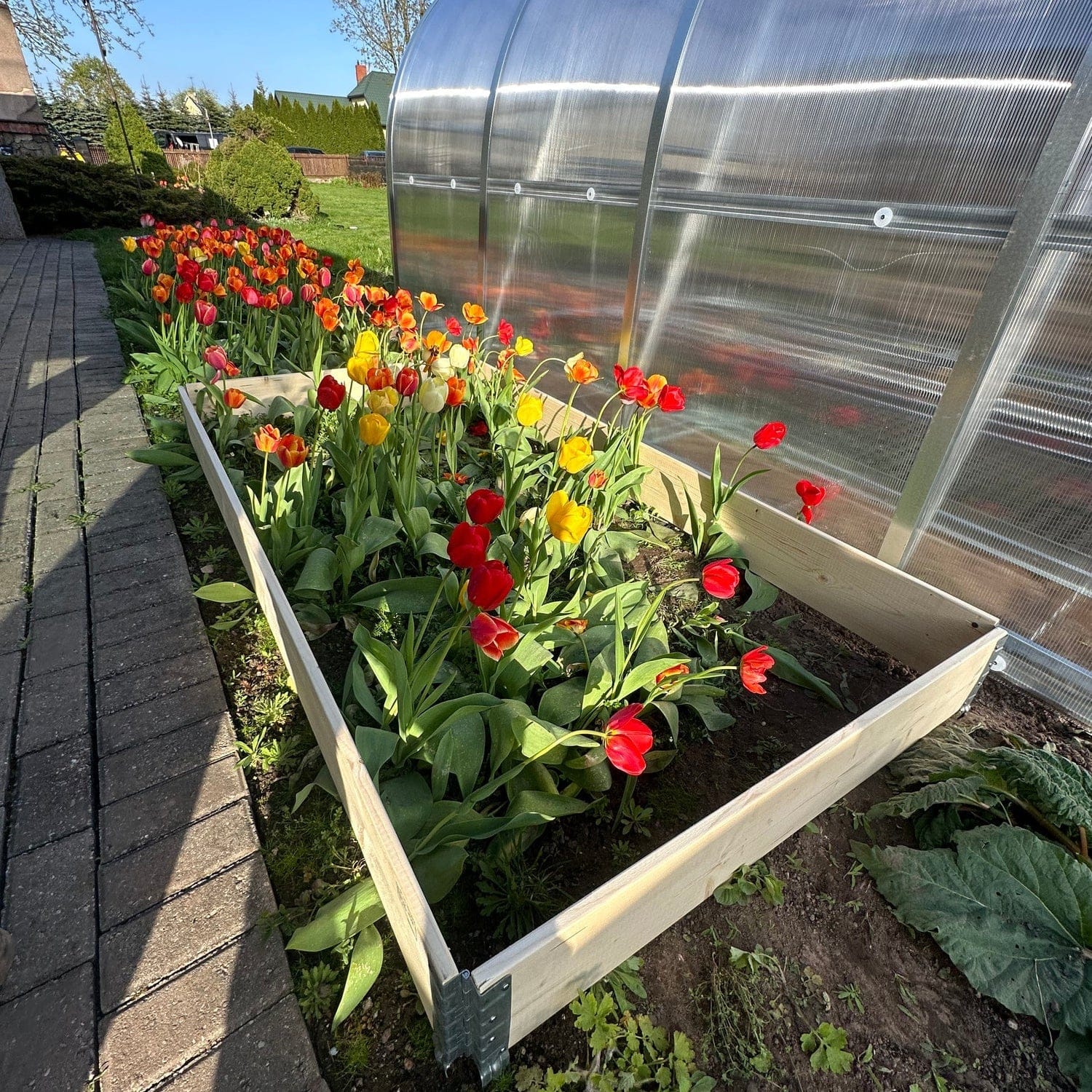 Bac de culture en bois pour serre