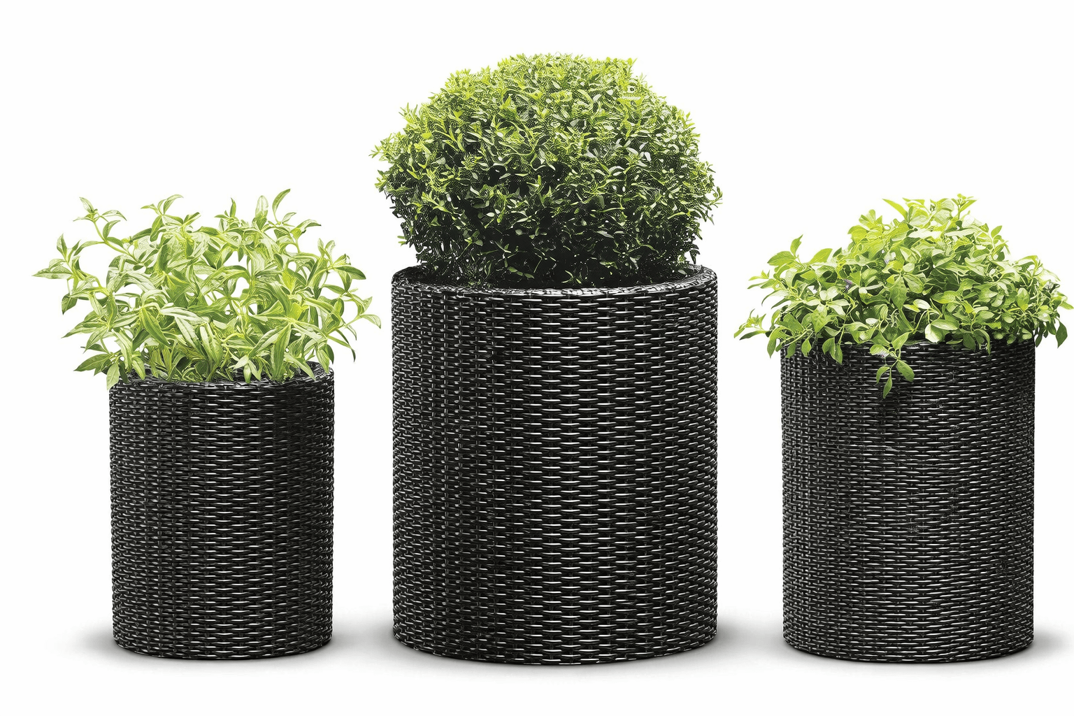 Pots de fleurs de jardin