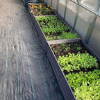 Serre de jardin polycarbonate intemporelle