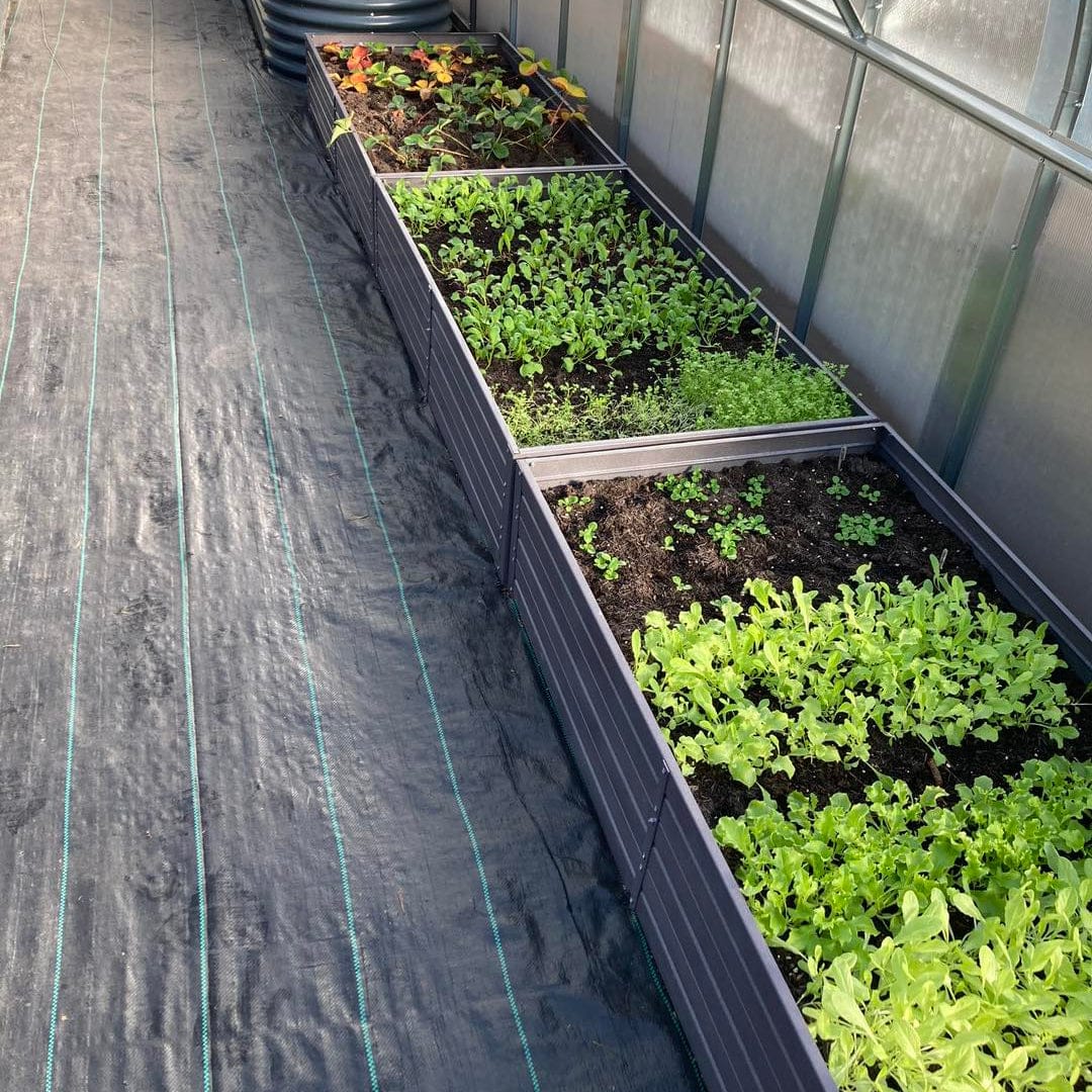 Serre de jardin polycarbonate intemporelle