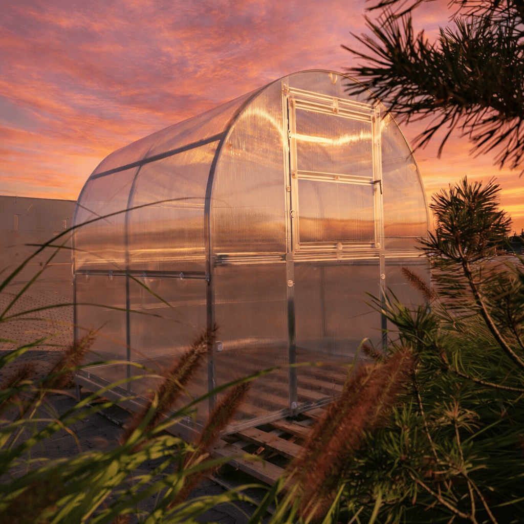 Serre de jardin polycarbonate compacte